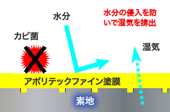 アポリテックファインは水分の侵入をストップして透湿性をキープします